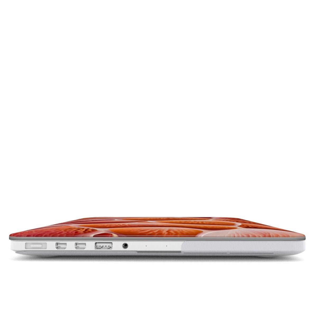 MacBook Case LARVA